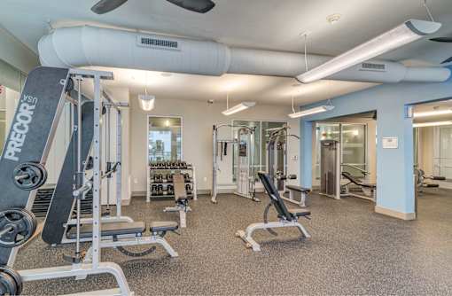A gym with a variety of equipment including a weight bench, a squat rack, and a treadmill.
