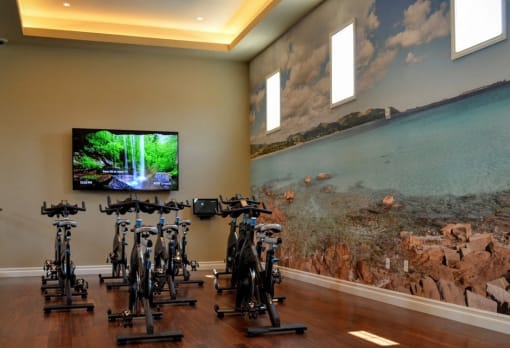 Spin Bikes at Avino in San Diego, CA