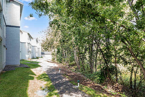 A pathway in a residential area with trees on both sides.