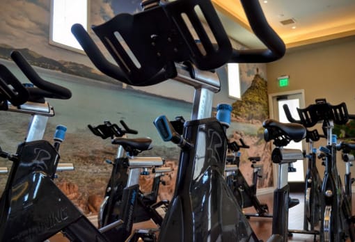 Spin Bikes at Avino in CA 92130