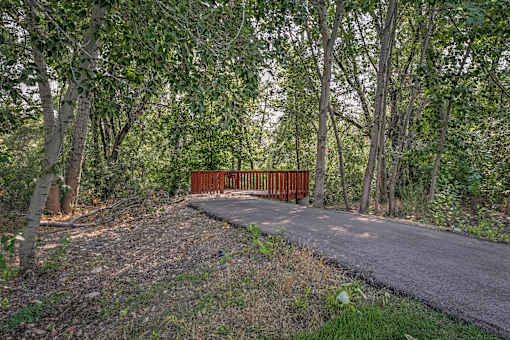 A bridge made of wood is in the middle of a forest.