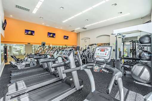 A gym with treadmills and exercise equipment.