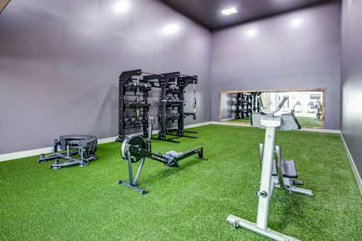 A gym with a green floor and purple walls.