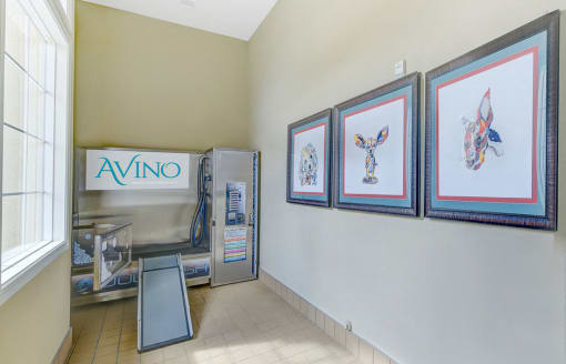 Dog Wash at Avino in San Diego, CA