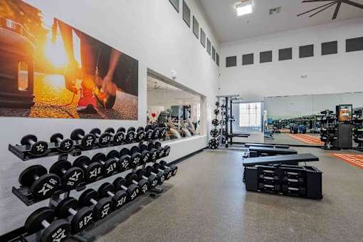 A gym with a row of black dumbbells on the left and a mirror on the right.