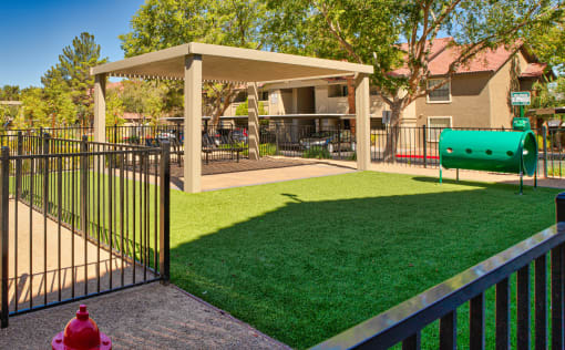 Outdoor pet park with grass and shade