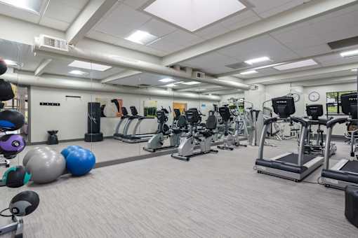 A gym with a variety of exercise equipment and fitness balls.