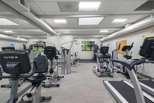 A gym with treadmills, elliptical machines, and other exercise equipment.
