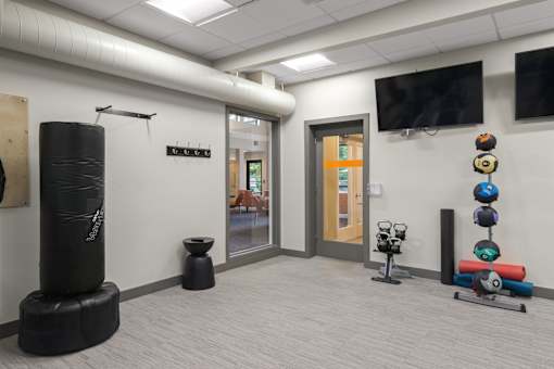 A gym room with a punching bag, exercise balls, and a television.