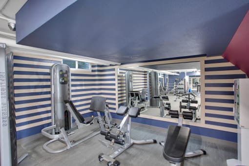 a gym with a blue ceiling and white and blue walls