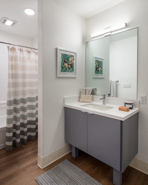 a bathroom with a sink and a mirror and a shower