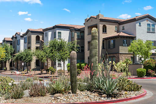 A row of houses with a cactus in the front.