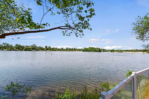 A serene lake with a fence and trees in the foreground.