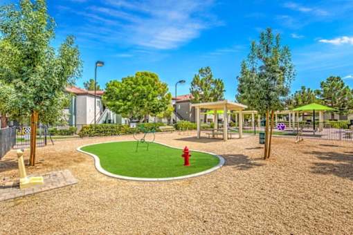 Dog Park