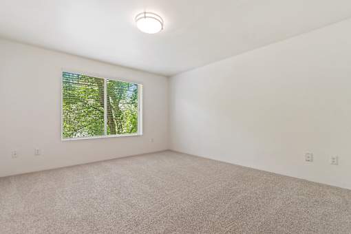 A room with a window and a carpeted floor.