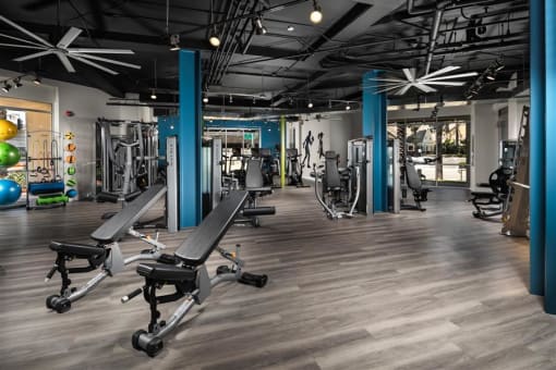 Gym