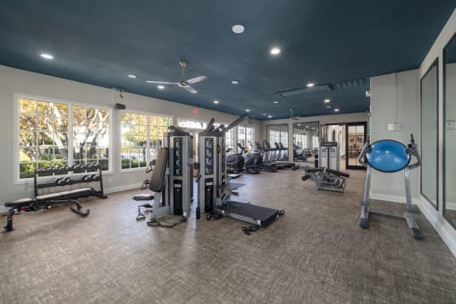a gym with large windows, weights and cardio equipment
