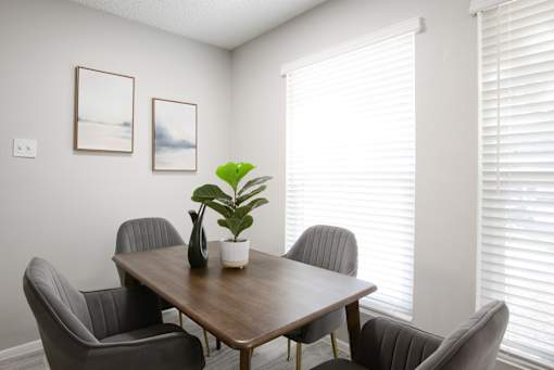 A table with chairs and a potted plant in a room with white walls.
