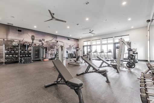 a gym with weights machines and a wall mural of gym equipment