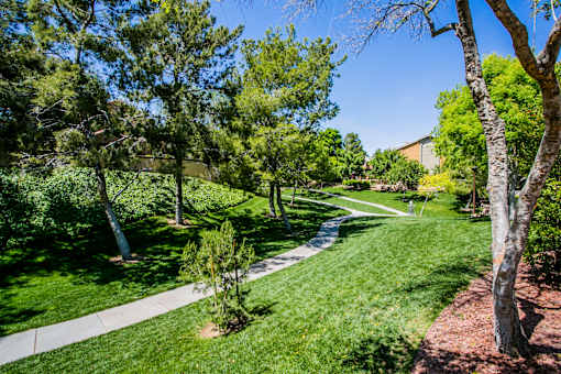 A tree-lined pathway in a sunny park.