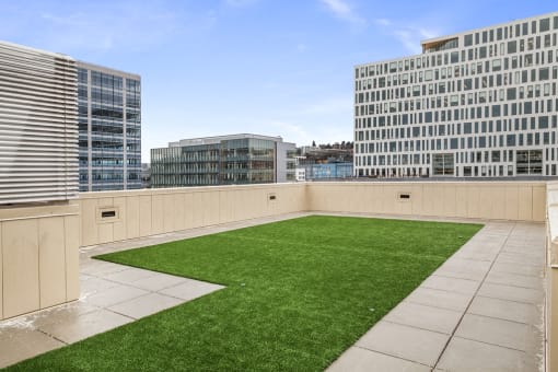 Radius Apartments Rooftop