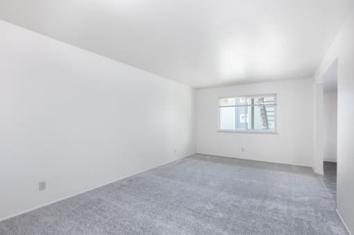 a bedroom with white walls and carpet