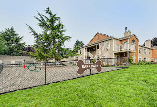 Fenced dog park