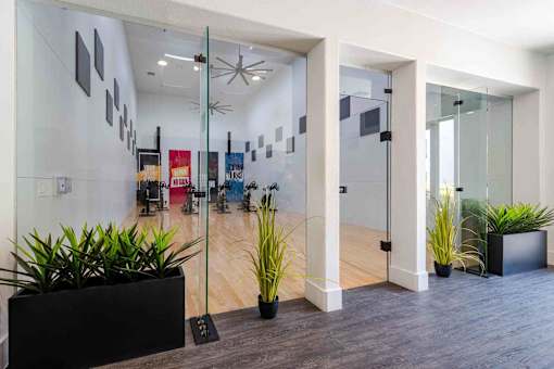 A hallway with a glass door and a plant on the side.