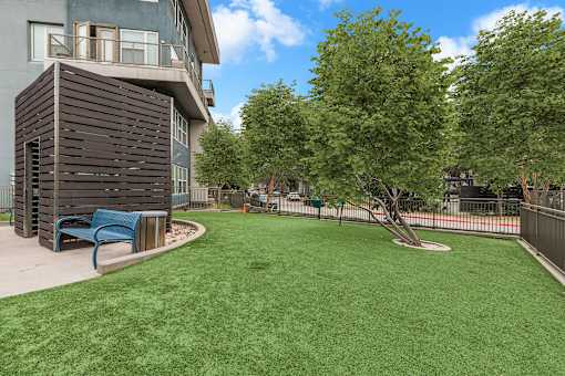 A small tree is in a grassy area in front of a building.