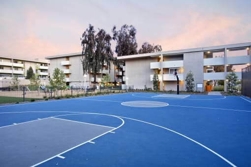 Basketball Court at The Chadwick, Los Angeles, CA, 90004