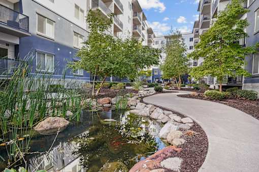 A pond with rocks and plants in the foreground and apartment buildings in the background.