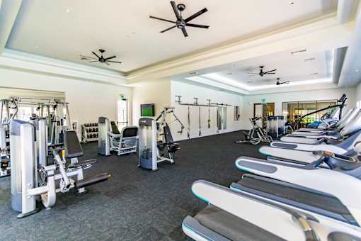 A gym with a variety of equipment including treadmills, weights, and exercise machines.