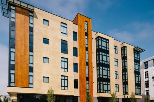 building rendering