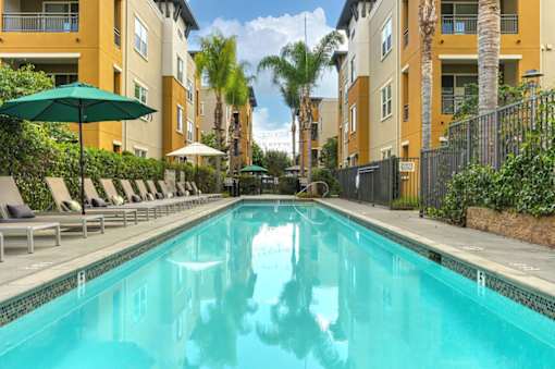 A pool with lounge chairs and umbrellas and views of Palomar Station apartments for rent in San Marcos, CA.