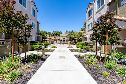 courtyard