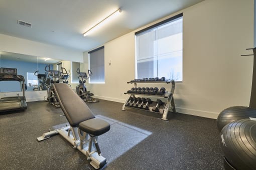 Free weights and bench in fitness center at Alpine Vista, Colorado Springs