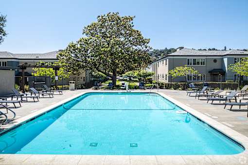 A large swimming pool in a sunny outdoor setting.