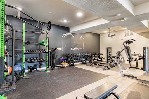 A well-equipped gym with various fitness machines and weights.