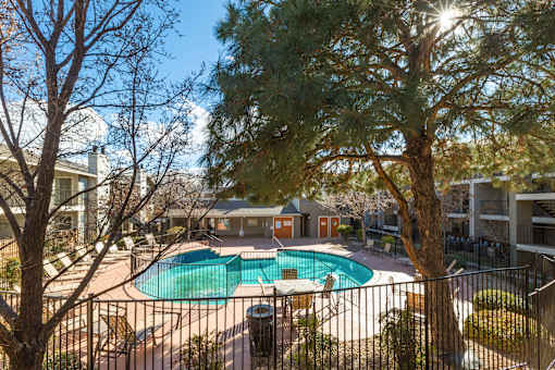 A pool surrounded by a fence with a tree in the foreground.