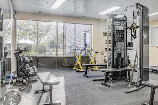 A gym with a variety of equipment including a squat rack, bench, and weights.