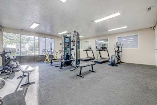 A gym with a variety of equipment including treadmills, weights, and benches.
