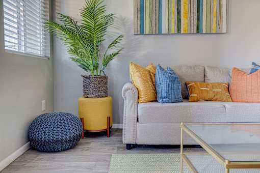 A living room with a couch, a potted plant, and a glass table.
