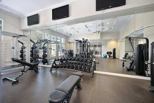 A gym with a variety of equipment including weights and cardio machines.