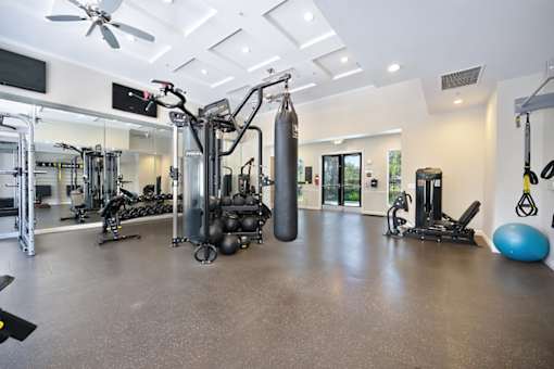 A spacious gym with a variety of equipment including a punching bag, weight machines, and a blue exercise ball.