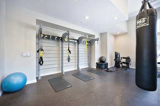 A gym with a blue exercise ball, a black punching bag, and a weight machine.