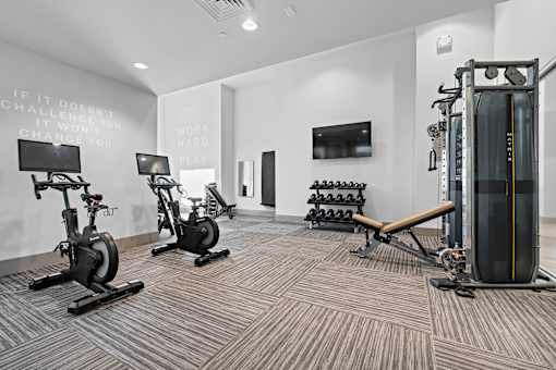 A gym with a row of stationary bikes and a squat rack.