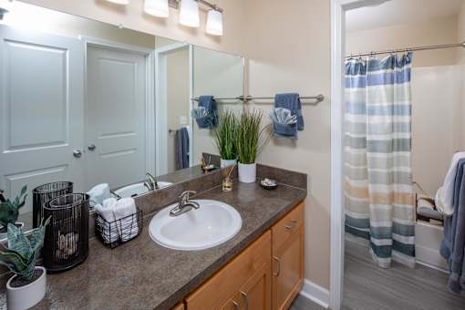 a bathroom with a sink and a shower and a mirror