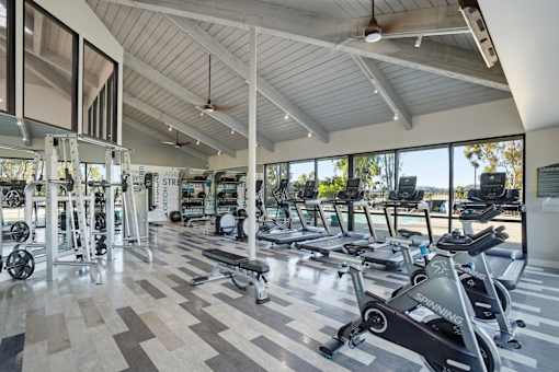 A gym with a variety of equipment including treadmills and weights.