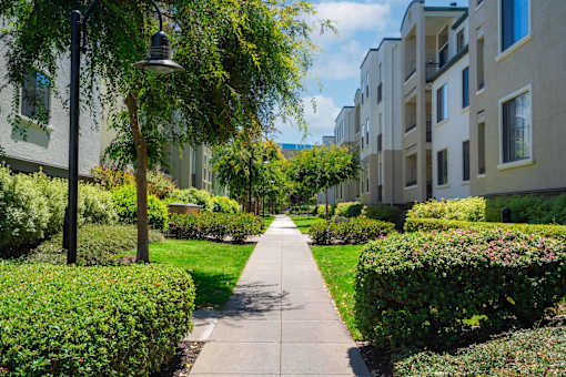 A tree-lined walkway leads to apartment buildings.