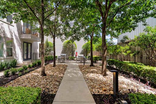 A walkway with trees on either side.
